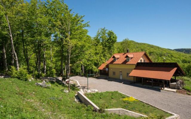 Vršak