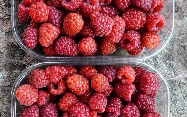 Agriturismo Sinciano