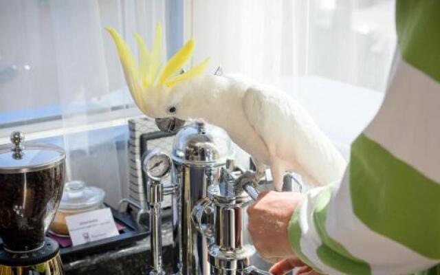 Anastasia Apartments & Rooms - Zagreb Centre