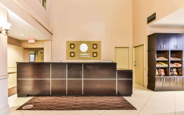 Comfort Inn & Suites Ambassador Bridge