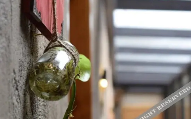 Songyang Yunshang Pingtian Boutique B&B