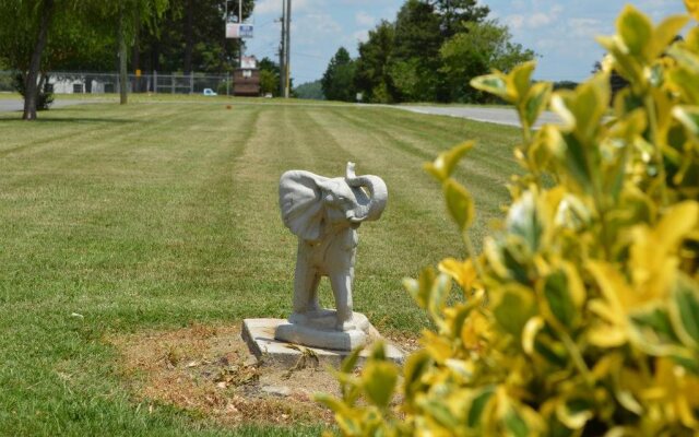 Regency Inn - Lexington