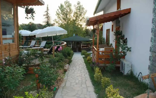 Agva Tree Tops Park Hotel