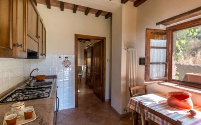 House Edera Campagnatico