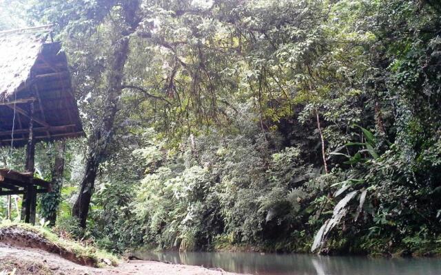 Estación Biológica Tamandua