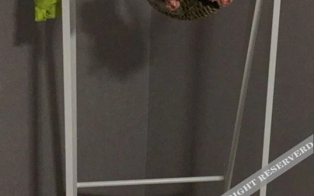 Xiandu Songge Xianrenju Hostel