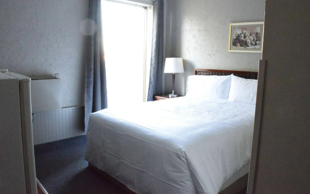 The City Motel