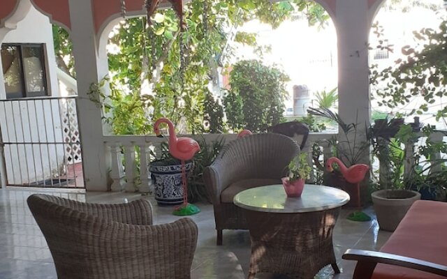 Flamingo Guest House Celestún