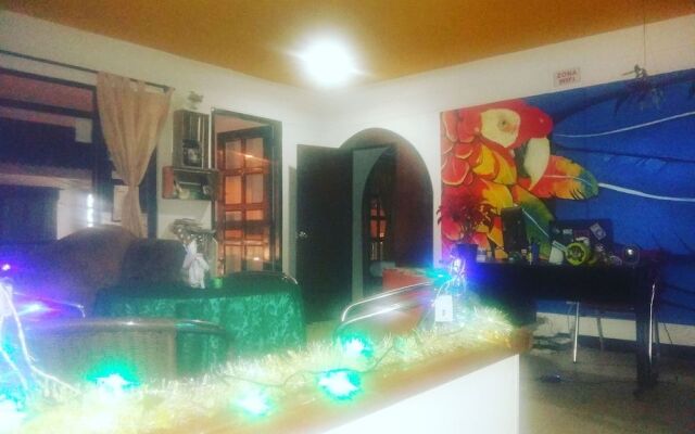Bananas Hostel
