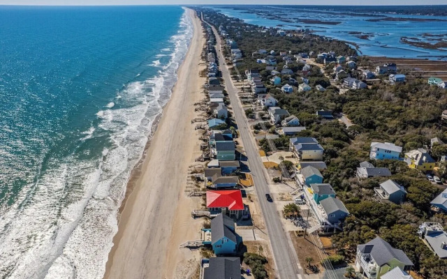 The Shark and the Seahorse