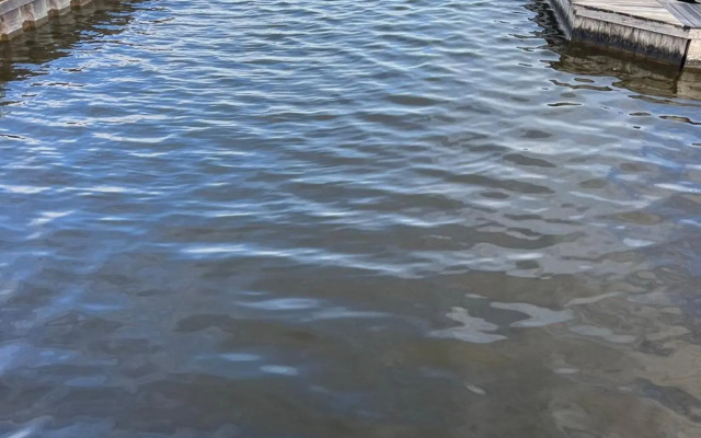 Plassenzicht Logies, Vergaderen en Sloepverhuur