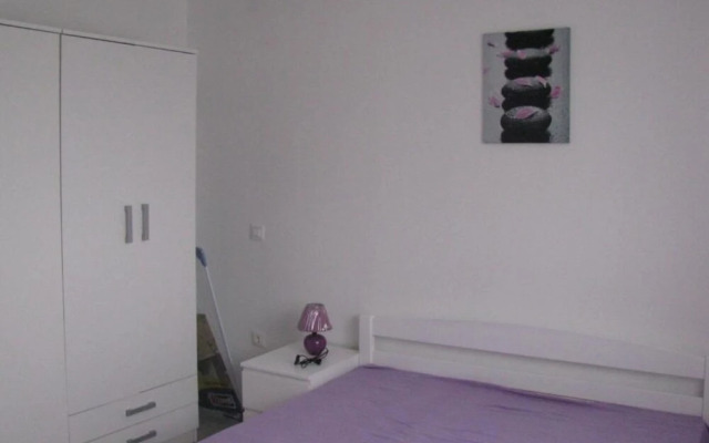 Xena - Comfort and Spacious - A3 Purple