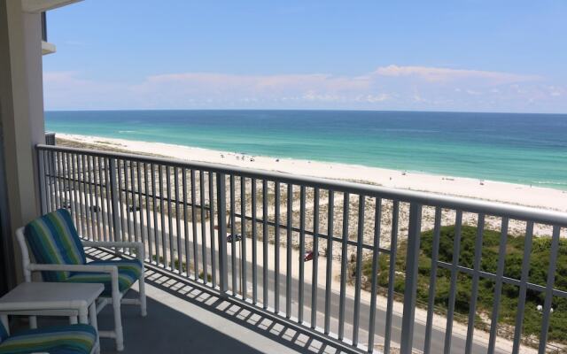 Emerald Dolphin by Surfside VR