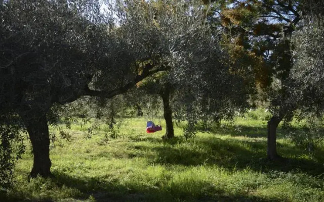Casa Vacanze i Carcaioli