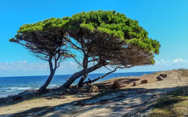 La Caletta Apartments