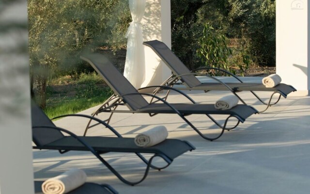 Villa Olive Green