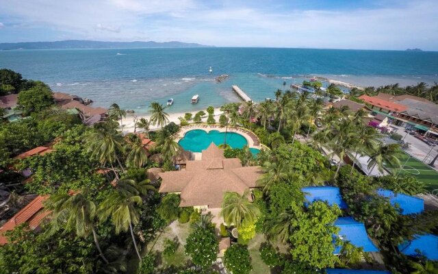 Jungle Gym & Eco Lodge - Hostel