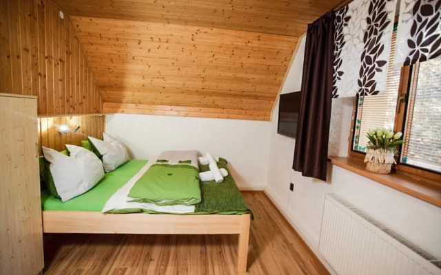 Villa in Moravia With Infrared Sauna