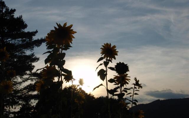 Cabane des Guernazelles