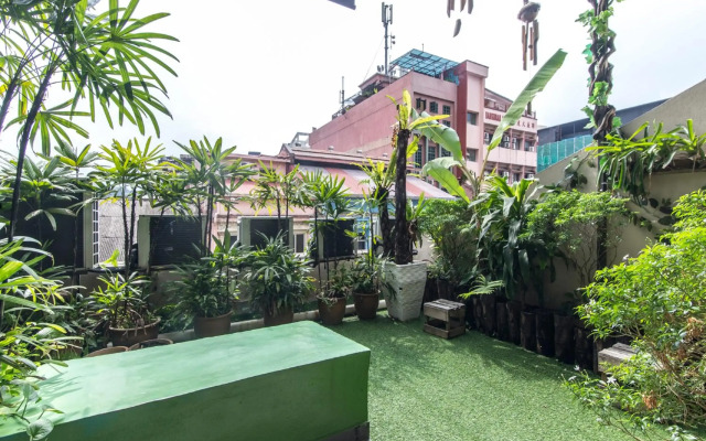 Rain Forest Hotel