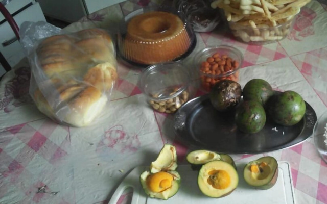 Aconchego dos schreiber