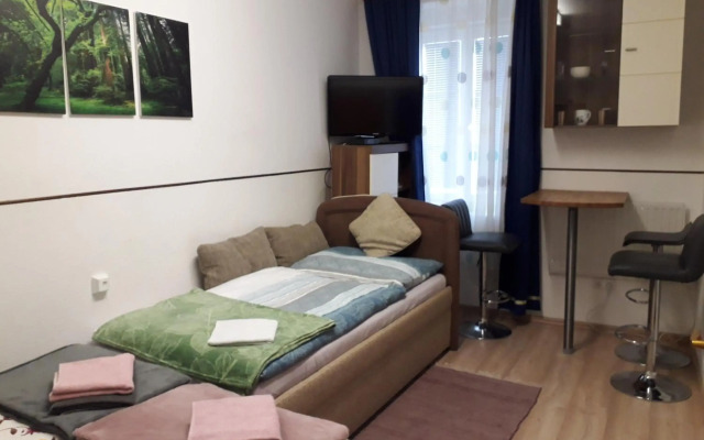 Apartment im Zentrum