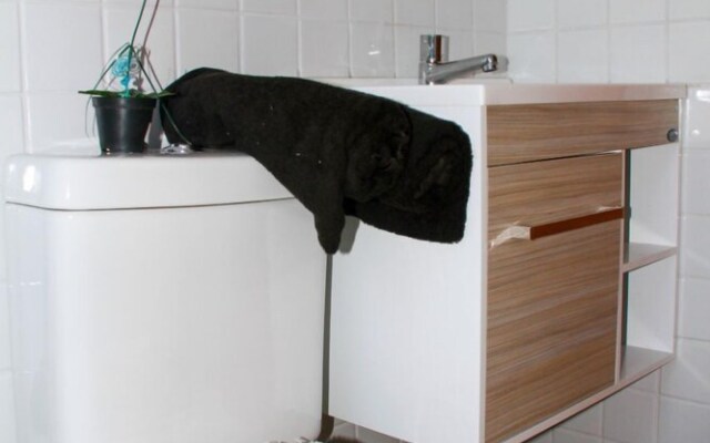 Palm Vilagge Acqua Flat