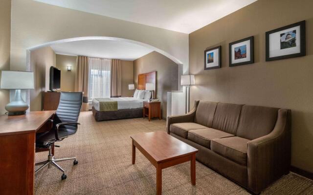 Comfort Inn & Suites Sacramento - University Area