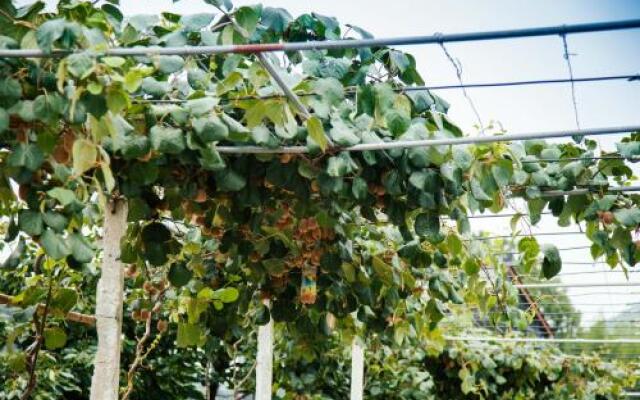 Xi Xiang Ji Guesthouse