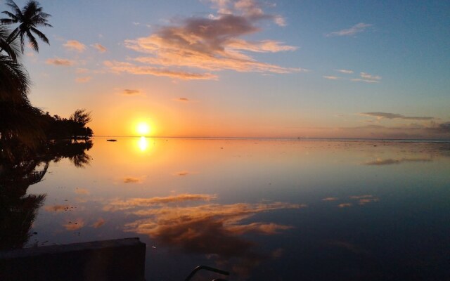 Lagoon Dream