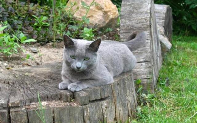 B&B Pensjonat Nad Rudawa