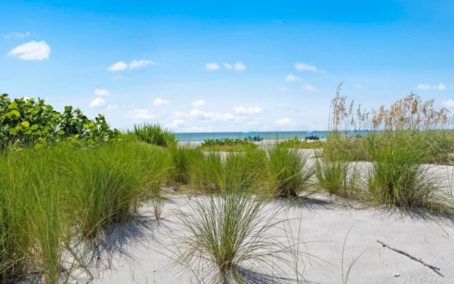 Loggerhead Cay 472 - Beach Front Pet-friendly