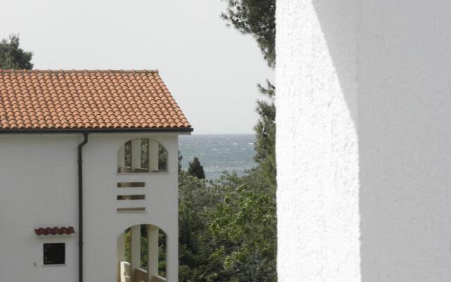 Apartment Mirja - 50 m from beach: A4 Petrcane, Zadar riviera