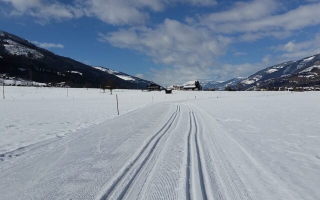 Chalet Anna Near Ski Area in Niedernsill