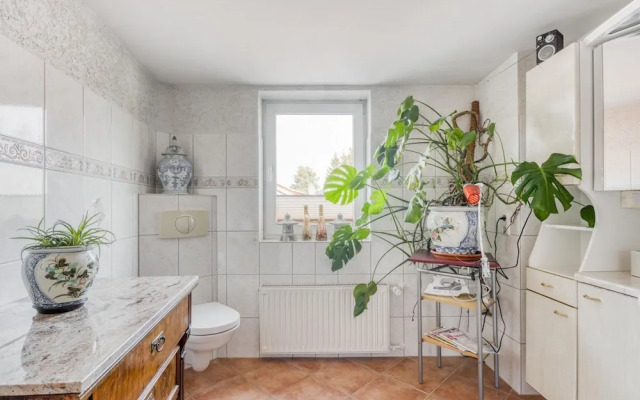 Holiday Home in Wernigerode With Terrace