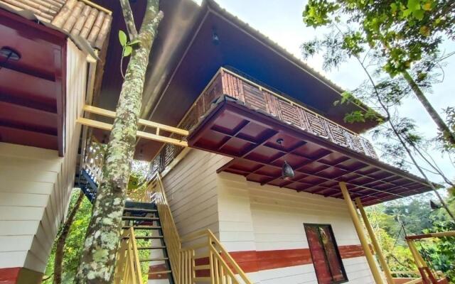 Chalona Jungle Eco Stay