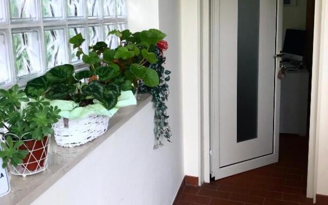 Treviso Rooms