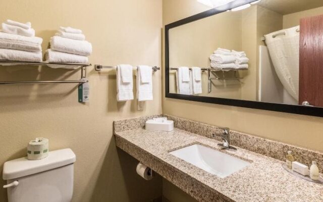 Cobblestone Hotel & Suites - Pecos