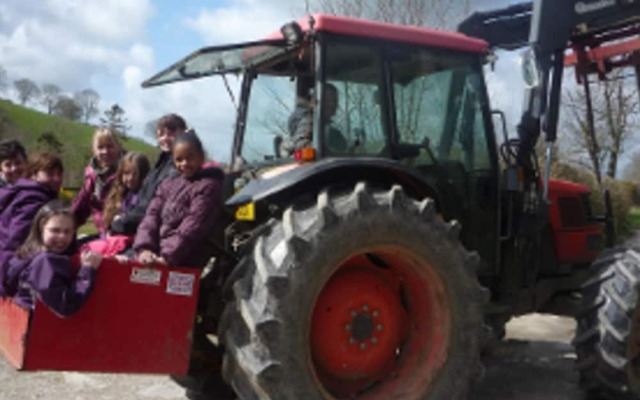 Relaxing Holidays in the Old Water Mill at Cwmiar