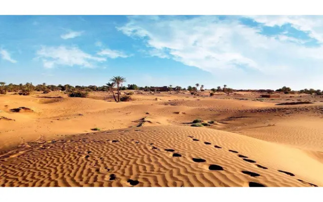 Locals Under Stars Trips