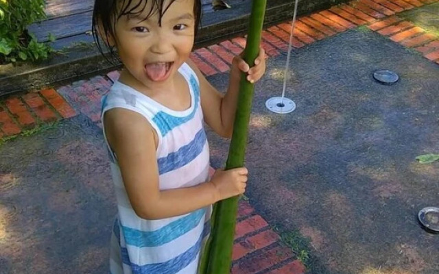 Lily Village
