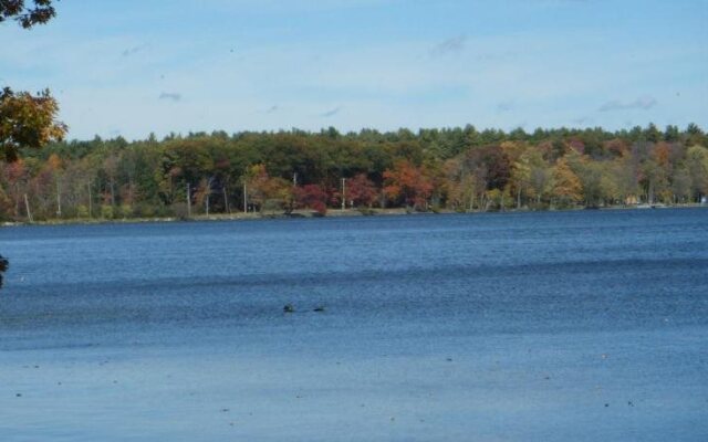 Lake Cadillac Resort