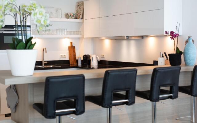 Spacious Apartment in Den Haag near Seabeach