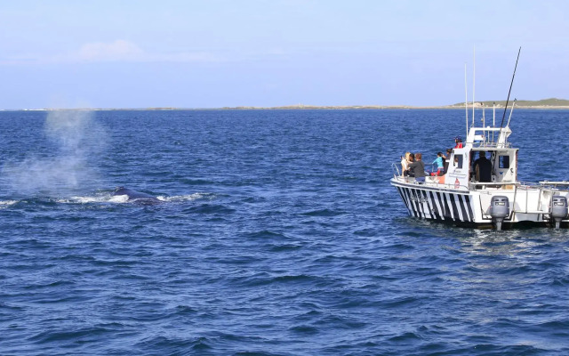 Club Break and Beach Break Villas