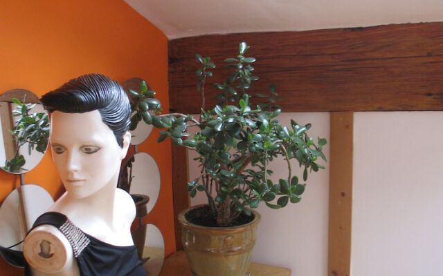 Glen View B&B
