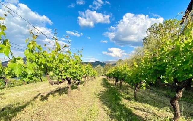 Private Douro- Quinta das Susandas