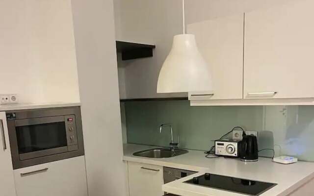 Schöne Wohnung in der Wiener Innenstadt