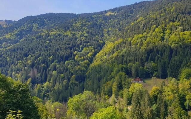 Appartement Saint-Jean-d'Aulps, 1 pièce, 4 personnes - FR-1-573-44