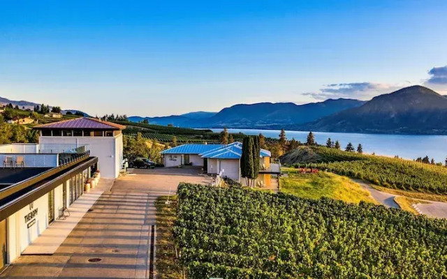 Therapy Vineyards