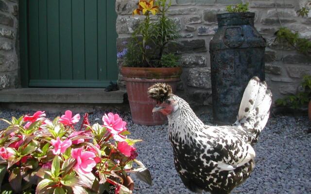 Alltybrain Farm Cottages and B&B